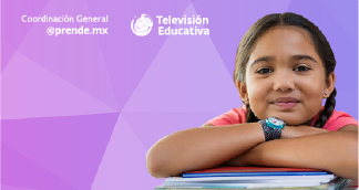 Inducción a la plataforma digital Nueva Escuela Mexicana:NEM IALP20091X