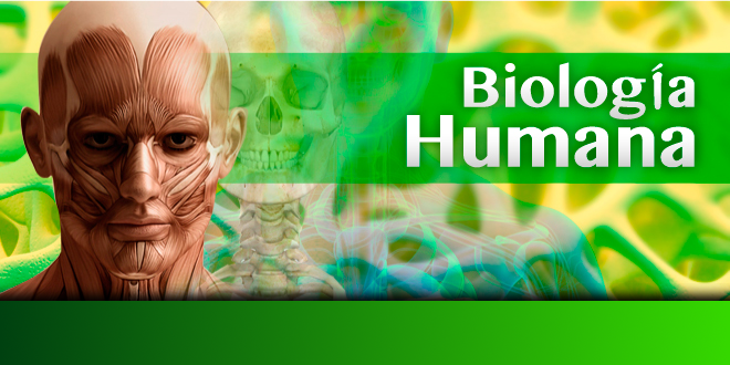 Biología Humana BHPRUEBAIPN2018