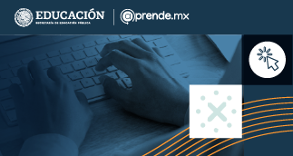 Espacio virtual de aprendizaje en MéxicoX EVDA23055X