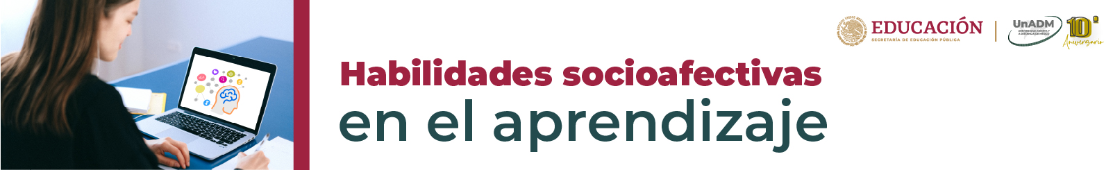 Habilidades socioafectivas en el aprendizaje